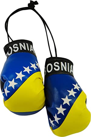 High Quality Bosnia Country Flag Mini Boxing Gloves Blank Meme Template