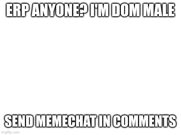 Blank White Template |  ERP ANYONE? I'M DOM MALE; SEND MEMECHAT IN COMMENTS | image tagged in blank white template | made w/ Imgflip meme maker