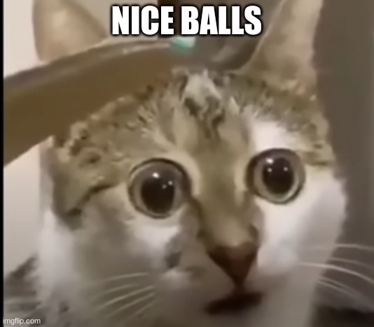 seriously | NICE BALLS | image tagged in nice balls | made w/ Imgflip meme maker