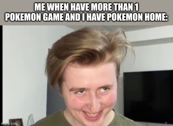 true story | ME WHEN HAVE MORE THAN 1 POKEMON GAME AND I HAVE POKEMON HOME: | image tagged in the face | made w/ Imgflip meme maker