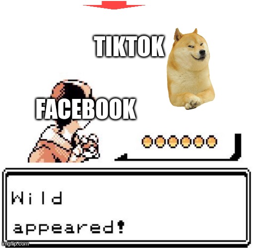 u | TIKTOK; FACEBOOK | image tagged in blank wild pokemon appears,funny | made w/ Imgflip meme maker