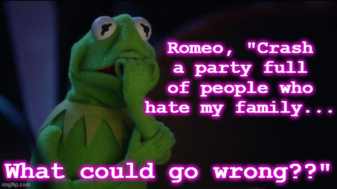 Romeo foreshadowing | Romeo, "Crash a party full of people who hate my family... What could go wrong??" | image tagged in kermit worried face | made w/ Imgflip meme maker