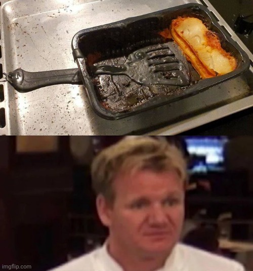 Spatula and food | image tagged in disgusted gordon ramsay,you had one job,you had one job just the one,funny,memes,pizza time stops | made w/ Imgflip meme maker