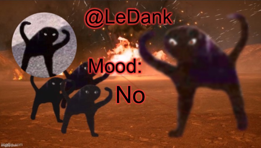 LeDank template | No | image tagged in ledank template | made w/ Imgflip meme maker