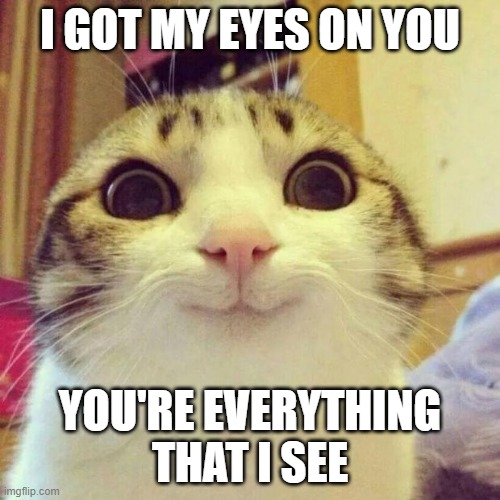 Smiling Cat Meme | I GOT MY EYES ON YOU; YOU'RE EVERYTHING THAT I SEE | image tagged in memes,smiling cat,drake | made w/ Imgflip meme maker