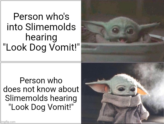 Baby Yoda happy then sad | Person who's into Slimemolds hearing "Look Dog Vomit!"; Person who does not know about Slimemolds hearing "Look Dog Vomit!" | image tagged in baby yoda happy then sad | made w/ Imgflip meme maker