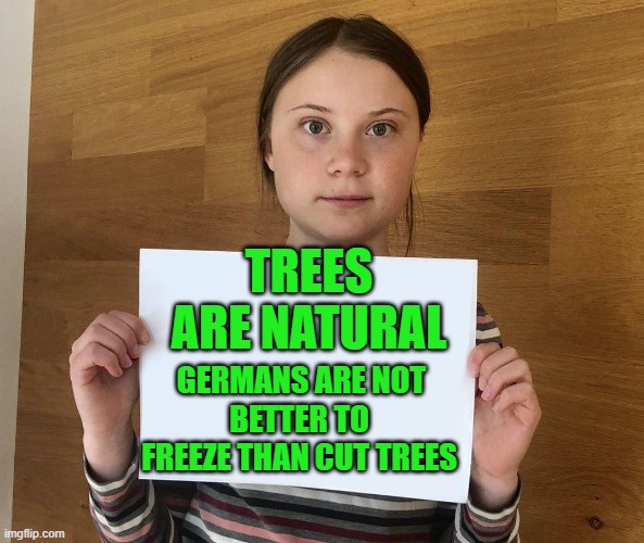 yep | TREES ARE NATURAL; GERMANS ARE NOT; BETTER TO FREEZE THAN CUT TREES | image tagged in greta | made w/ Imgflip meme maker
