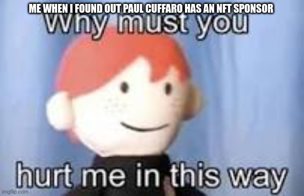Hes such a good fish content creator. WHY MUST HE DO THIS TO ME | ME WHEN I FOUND OUT PAUL CUFFARO HAS AN NFT SPONSOR | image tagged in why must you hurt me in this way,aquarium | made w/ Imgflip meme maker