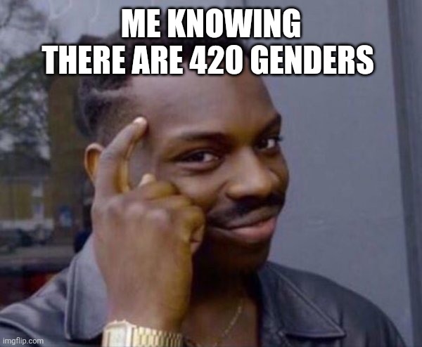 Guy tapping head | ME KNOWING THERE ARE 420 GENDERS | image tagged in guy tapping head | made w/ Imgflip meme maker