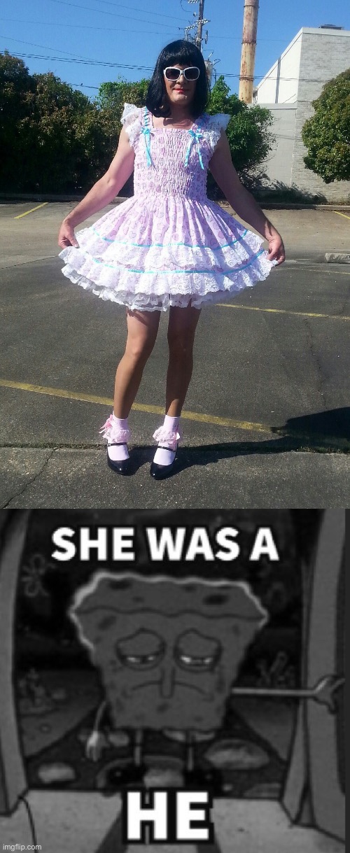 She was a he | image tagged in she was a he | made w/ Imgflip meme maker