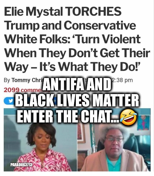 Yo, you're higher that Snoop Dog! | ANTIFA AND BLACK LIVES MATTER ENTER THE CHAT...🤣; PARADOX3713 | image tagged in memes,politics,antifa,black lives matter,democrats,violence | made w/ Imgflip meme maker