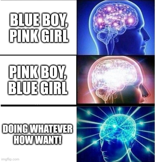 Expanding brain 3 panels | BLUE BOY, PINK GIRL; PINK BOY, BLUE GIRL; DOING WHATEVER HOW WANT! | image tagged in expanding brain 3 panels,gender,racist | made w/ Imgflip meme maker