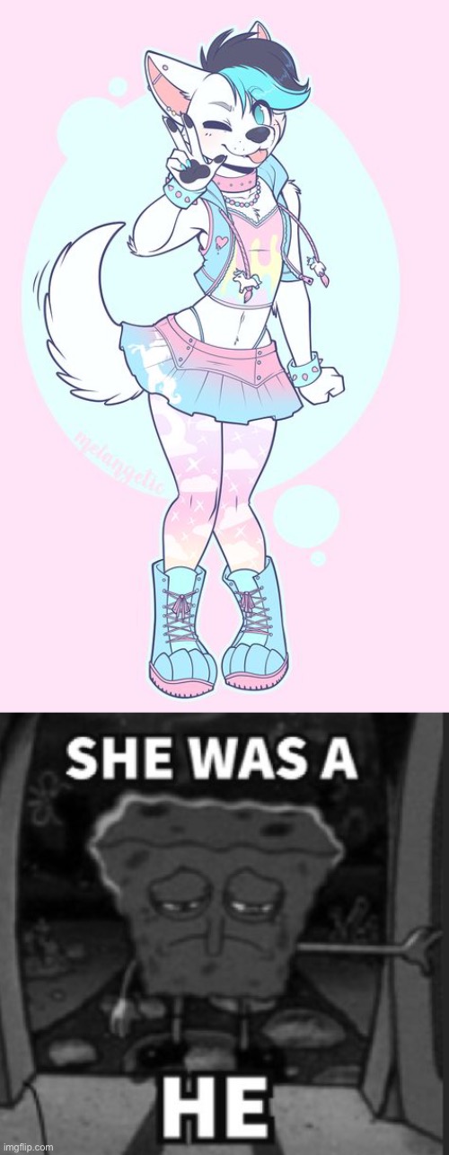 She was a he | image tagged in femboy furry,she was a he | made w/ Imgflip meme maker