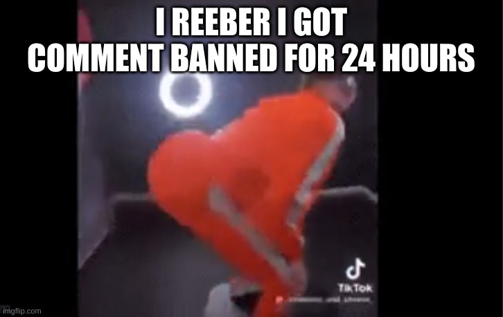 funny hat | I REMEMBER I GOT COMMENT BANNED FOR 24 HOURS | image tagged in funny hat | made w/ Imgflip meme maker