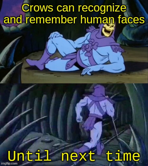 I have some Ideas...... | Crows can recognize and remember human faces; Until next time | image tagged in skeletor disturbing facts | made w/ Imgflip meme maker