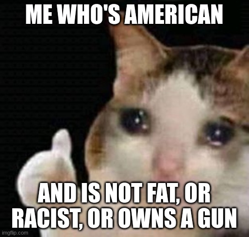 sad thumbs up cat | ME WHO'S AMERICAN AND IS NOT FAT, OR RACIST, OR OWNS A GUN | image tagged in sad thumbs up cat | made w/ Imgflip meme maker