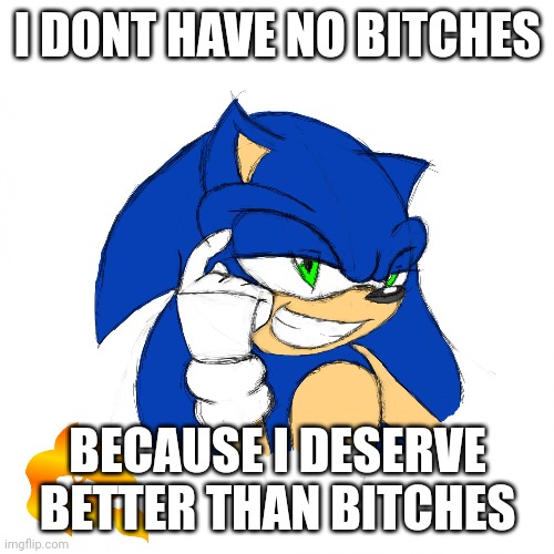Sonic roll safe meme | I DONT HAVE NO BITCHES; BECAUSE I DESERVE BETTER THAN BITCHES | image tagged in sonic roll safe meme | made w/ Imgflip meme maker
