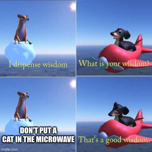 heres sum wisdom | DON'T PUT A CAT IN THE MICROWAVE | image tagged in wisdom dog | made w/ Imgflip meme maker