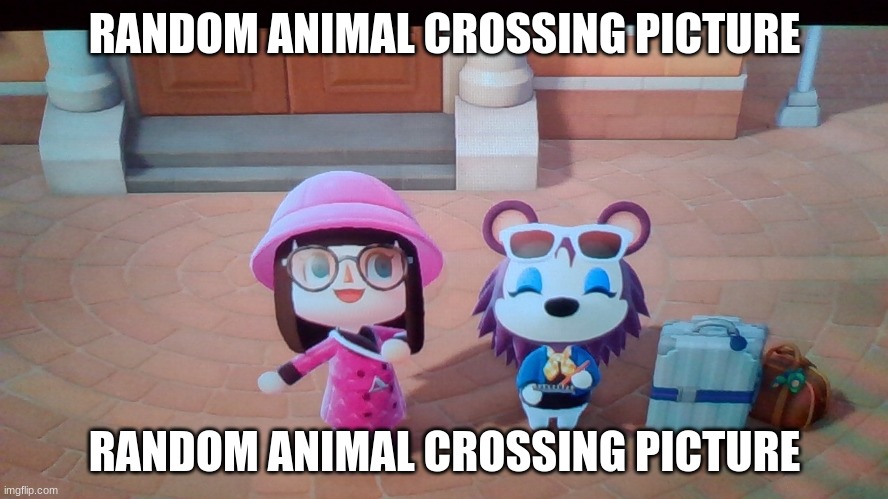 Random animal crossing picture | RANDOM ANIMAL CROSSING PICTURE; RANDOM ANIMAL CROSSING PICTURE | made w/ Imgflip meme maker