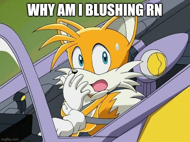 WHY AM I BLUSHING RN | image tagged in tails | made w/ Imgflip meme maker