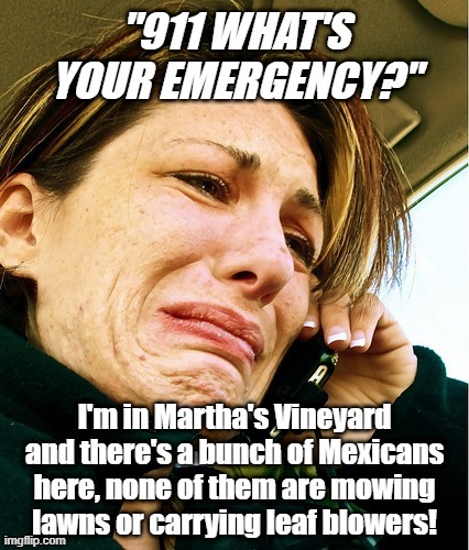 Crying Liberals | image tagged in liberal hypocrisy,democrats,martha's vineyard,hypocrisy,triggered liberal,obama | made w/ Imgflip meme maker