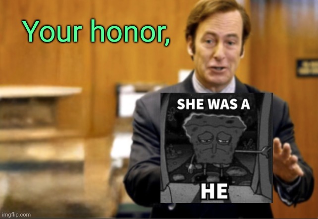 Saul Goodman defending | Your honor, | image tagged in saul goodman defending | made w/ Imgflip meme maker