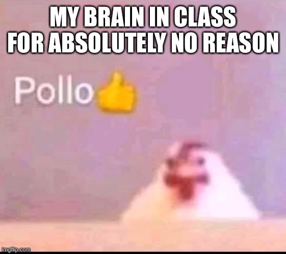 Pollo | MY BRAIN IN CLASS FOR ABSOLUTELY NO REASON | image tagged in pollo | made w/ Imgflip meme maker