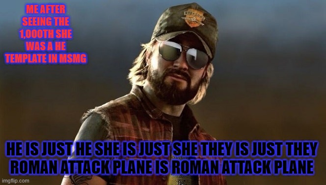 nick rye are you mentally stable | ME AFTER SEEING THE 1,000TH SHE WAS A HE TEMPLATE IN MSMG; HE IS JUST HE SHE IS JUST SHE THEY IS JUST THEY 
ROMAN ATTACK PLANE IS ROMAN ATTACK PLANE | image tagged in nick rye are you mentally stable | made w/ Imgflip meme maker