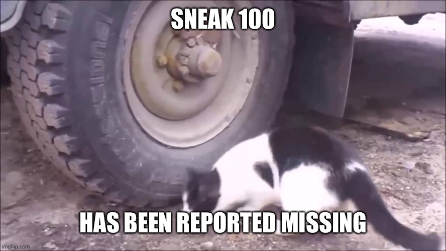 Mouse hides from Cat | SNEAK 100 HAS BEEN REPORTED MISSING | image tagged in mouse hides from cat | made w/ Imgflip meme maker