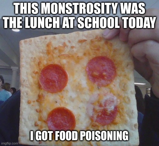 THIS MONSTROSITY WAS THE LUNCH AT SCHOOL TODAY; I GOT FOOD POISONING | image tagged in food memes | made w/ Imgflip meme maker