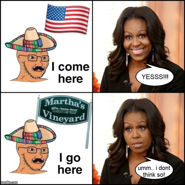Michelle ain't having it | YESSS!!! umm.. i dont
think so! | image tagged in martha's vineyard,illegals,illegal immigrants,obama,democrats | made w/ Imgflip meme maker