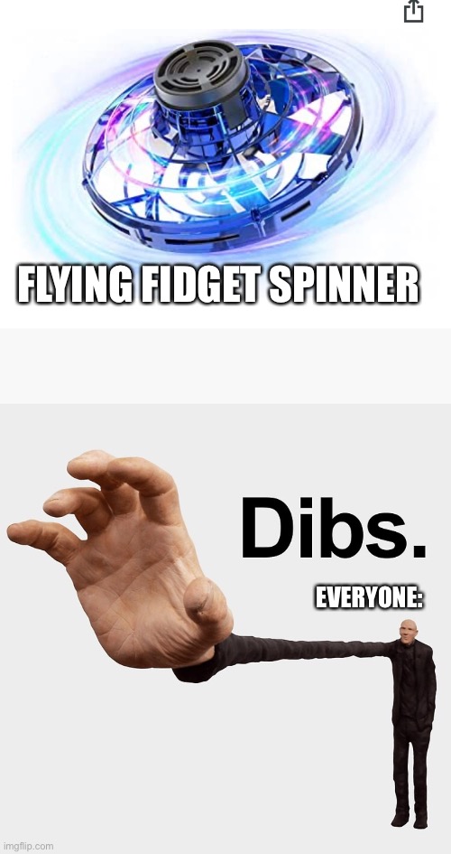 That’s cool tho | FLYING FIDGET SPINNER; EVERYONE: | image tagged in dibs | made w/ Imgflip meme maker