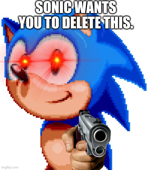 Delete This. |  SONIC WANTS YOU TO DELETE THIS. | image tagged in sonic the hedgehog | made w/ Imgflip meme maker