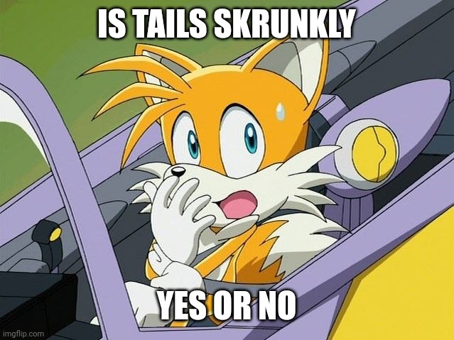 IS TAILS SKRUNKLY; YES OR NO | image tagged in tails | made w/ Imgflip meme maker