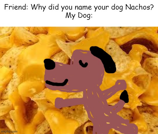 The Nacho Dog | Friend: Why did you name your dog Nachos?
My Dog: | image tagged in why the horror of nachos | made w/ Imgflip meme maker