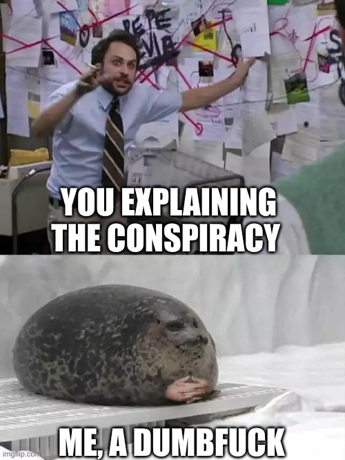 Man explaining to seal | YOU EXPLAINING THE CONSPIRACY ME, A DUMBFUCK | image tagged in man explaining to seal | made w/ Imgflip meme maker