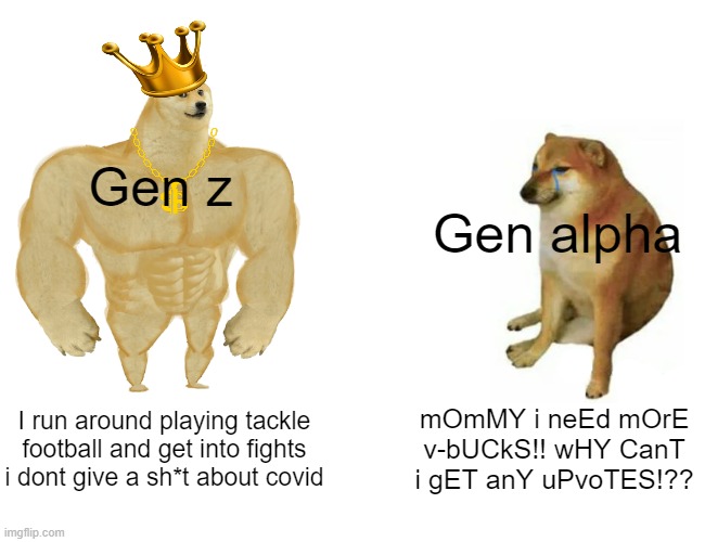 Gen alpha so STUPID | Gen z; Gen alpha; I run around playing tackle football and get into fights i dont give a sh*t about covid; mOmMY i neEd mOrE v-bUCkS!! wHY CanT i gET anY uPvoTES!?? | image tagged in memes,buff doge vs cheems | made w/ Imgflip meme maker