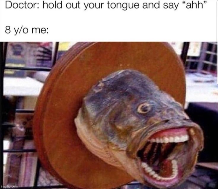 image tagged in memes,funny,repost | made w/ Imgflip meme maker