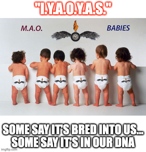 M.A.O. Babies | "I.Y.A.O.Y.A.S."; SOME SAY IT'S BRED INTO US...
SOME SAY IT'S IN OUR DNA | image tagged in ao,aviation ordnance,marine aviation ordnance,mao,iyaoyas,ordies | made w/ Imgflip meme maker