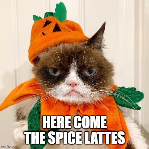 Lattes | HERE COME THE SPICE LATTES | image tagged in grumpy cat halloween | made w/ Imgflip meme maker