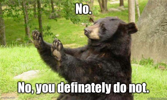How about no bear | No. No, you definately do not. | image tagged in how about no bear | made w/ Imgflip meme maker