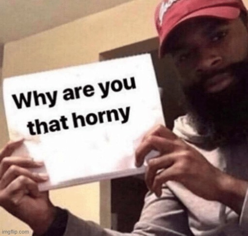 Why are you that horny? meme | image tagged in why are you that horny meme | made w/ Imgflip meme maker