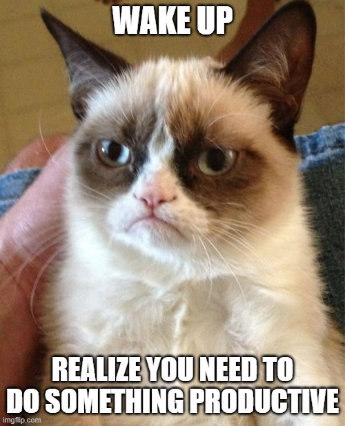 "Just 10 more minutes" | WAKE UP; REALIZE YOU NEED TO DO SOMETHING PRODUCTIVE | image tagged in memes,grumpy cat,the daily struggle | made w/ Imgflip meme maker