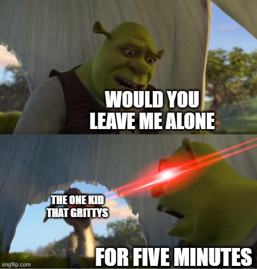 no grittying | WOULD YOU LEAVE ME ALONE; THE ONE KID THAT GRITTYS; FOR FIVE MINUTES | image tagged in shrek for five minutes,no gritty | made w/ Imgflip meme maker