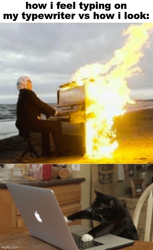 typewriter | how i feel typing on my typewriter vs how i look: | image tagged in playing flaming piano,furiously typing cat | made w/ Imgflip meme maker