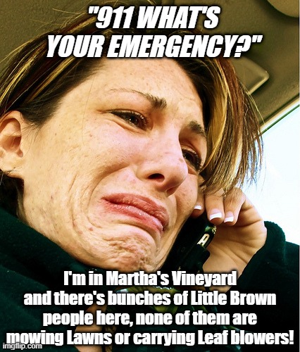 Rich Liberals in Martha's Vineyard be like.. | "911 WHAT'S YOUR EMERGENCY?"; I'm in Martha's Vineyard and there's bunches of Little Brown people here, none of them are mowing Lawns or carrying Leaf blowers! | image tagged in liberal hypocrisy,liberals,democrats,obama,martha's vineyard,elitist | made w/ Imgflip meme maker