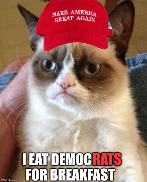 Grumpy Cat | I EAT DEMOCRATS FOR BREAKFAST; RATS | image tagged in memes,grumpy cat | made w/ Imgflip meme maker