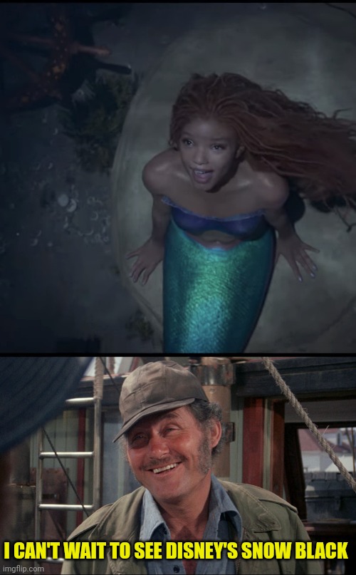 I CAN'T WAIT TO SEE DISNEY'S SNOW BLACK | image tagged in quint from jaws | made w/ Imgflip meme maker