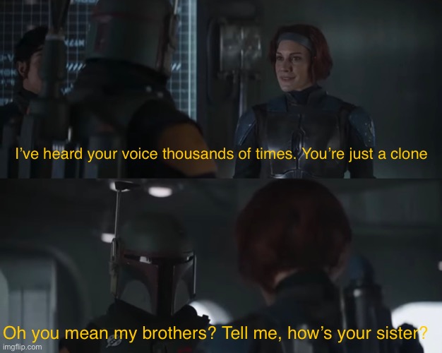 I’ve heard your voice thousands of times. You’re just a clone; Oh you mean my brothers? Tell me, how’s your sister? | made w/ Imgflip meme maker