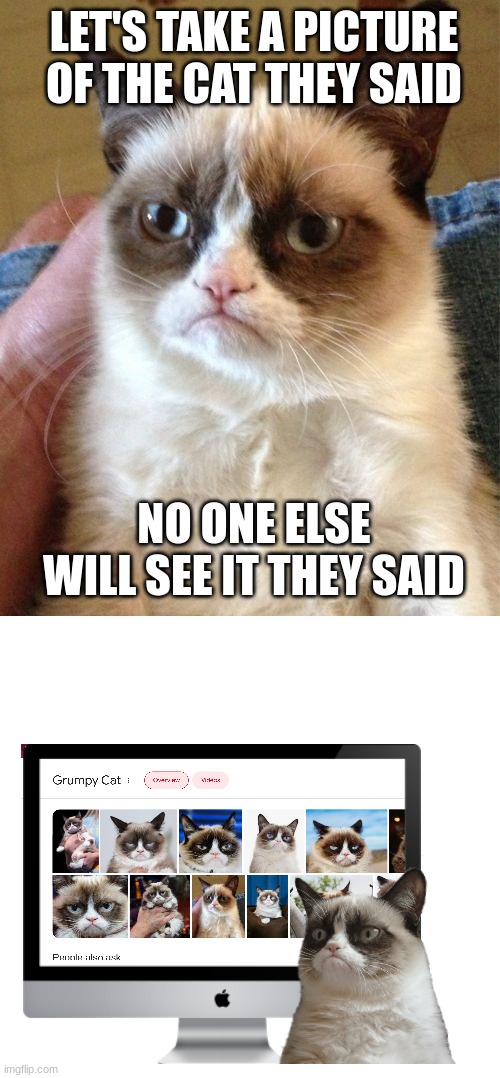 Maybe we'll just post ONE picture to the internet... | LET'S TAKE A PICTURE OF THE CAT THEY SAID; NO ONE ELSE WILL SEE IT THEY SAID | image tagged in memes,grumpy cat | made w/ Imgflip meme maker